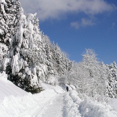 Ferienwohnung Am Eisweiher Titisee-Neustadt Kültér fotó