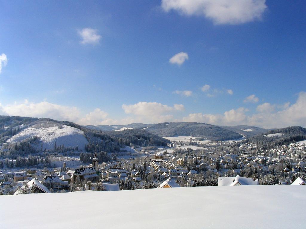 Ferienwohnung Am Eisweiher Titisee-Neustadt Kültér fotó