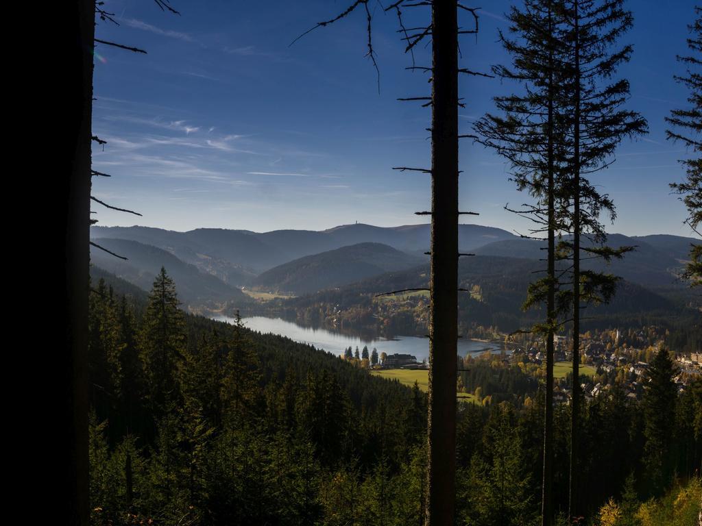 Ferienwohnung Am Eisweiher Titisee-Neustadt Kültér fotó