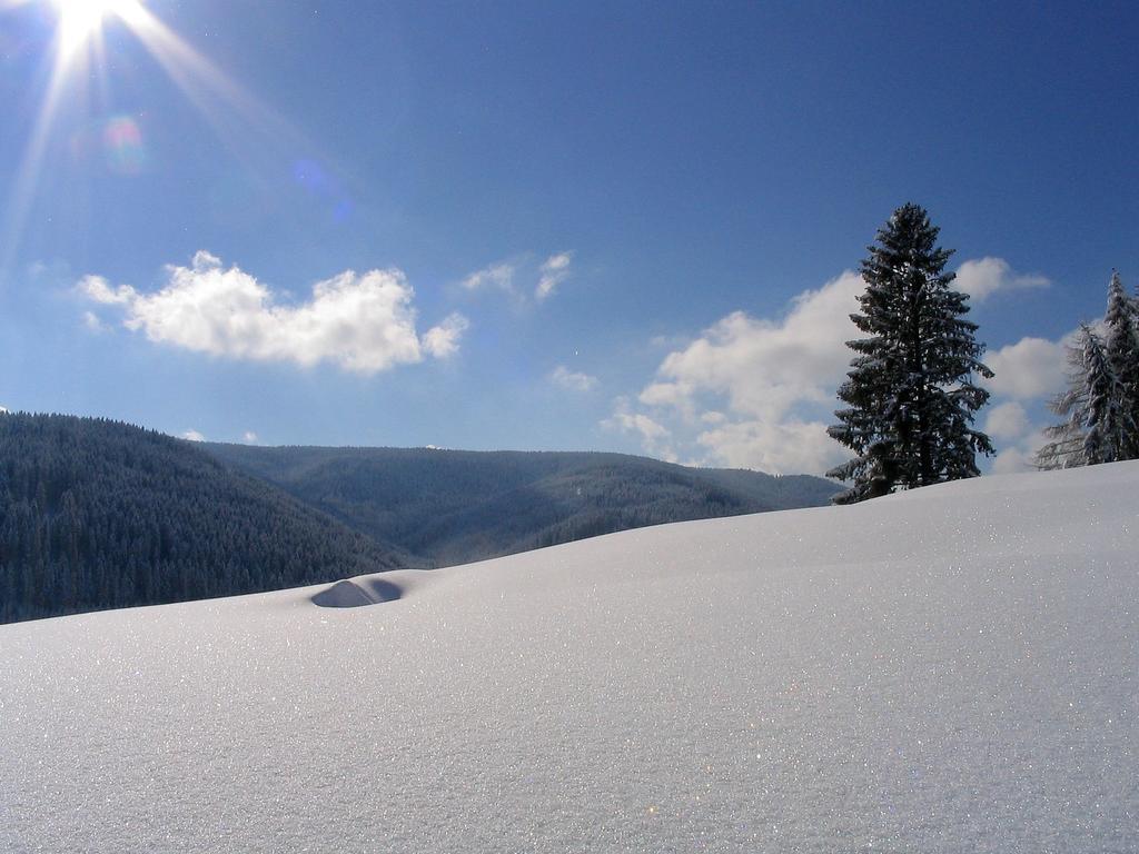 Ferienwohnung Am Eisweiher Titisee-Neustadt Kültér fotó